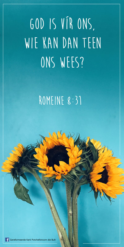 Romeine 8:32
